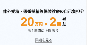 体外受精顕微授精20万円×2回補助