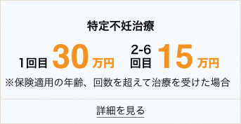 特定不妊治療1回30万円2～6回目15万円