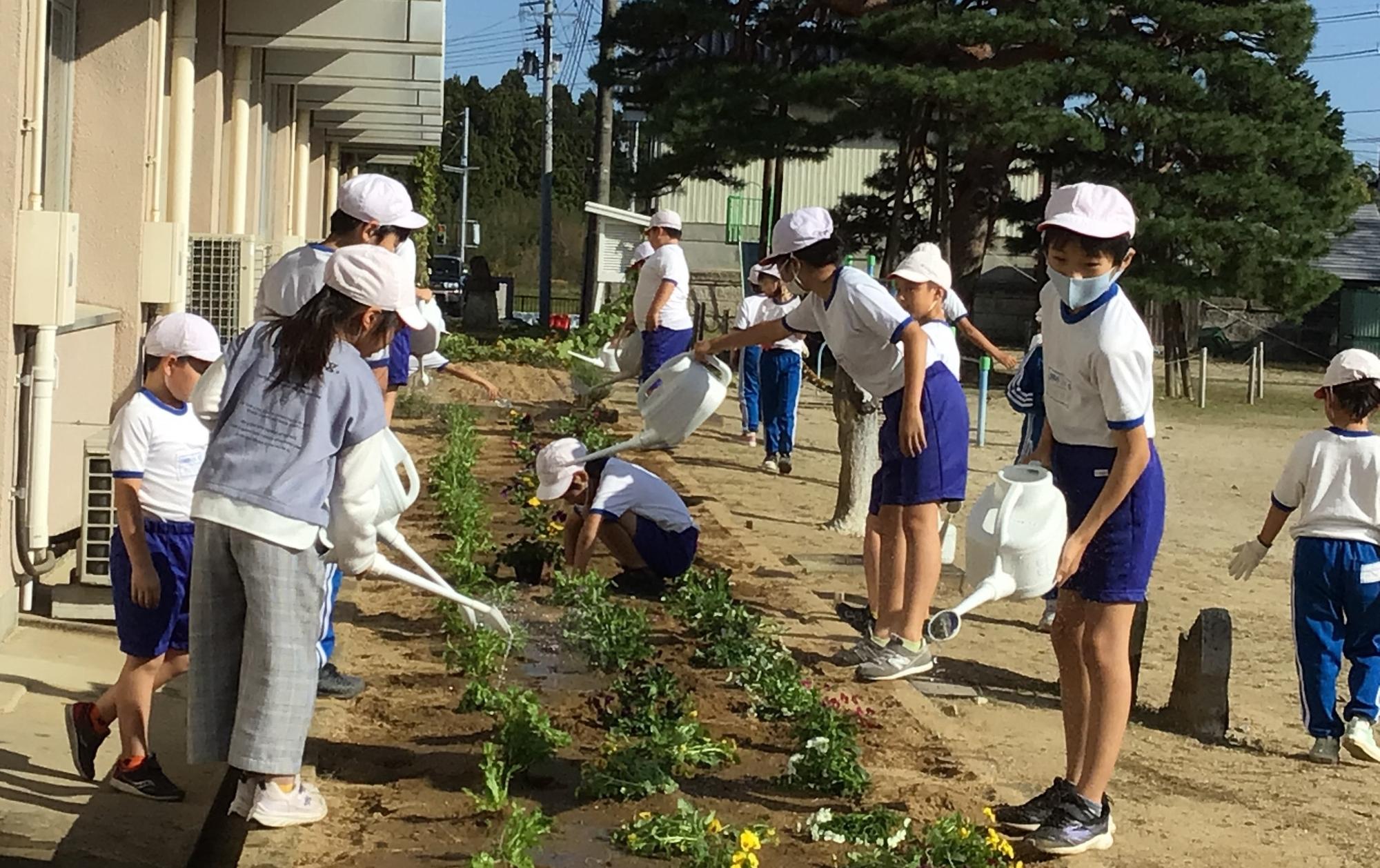 児童が花の水やりをする様子