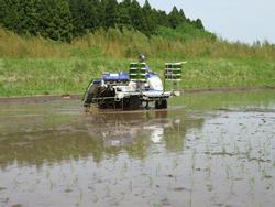 田植え機で酒米の苗を田植えする写真