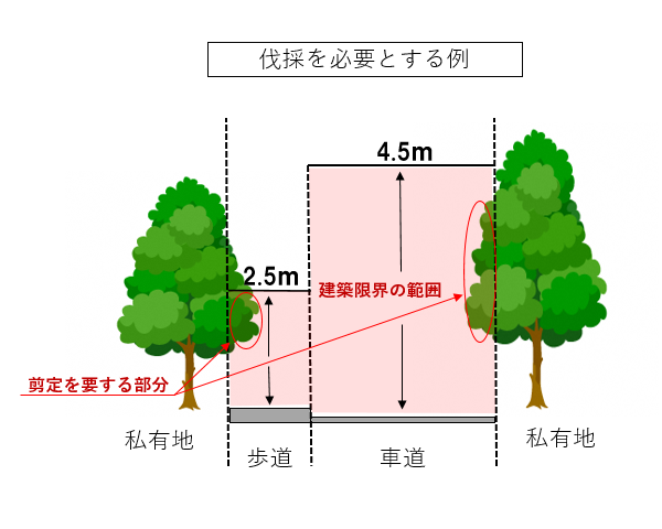 剪定を要する部分 歩道 2.5メートル、車道 4.5メートル