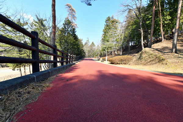 赤い路面が伸びる散策路の写真