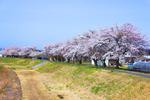 真野川(鹿島区役所西)