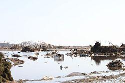 3日前の津波の海水が今だ引いていない原町区上渋佐の写真