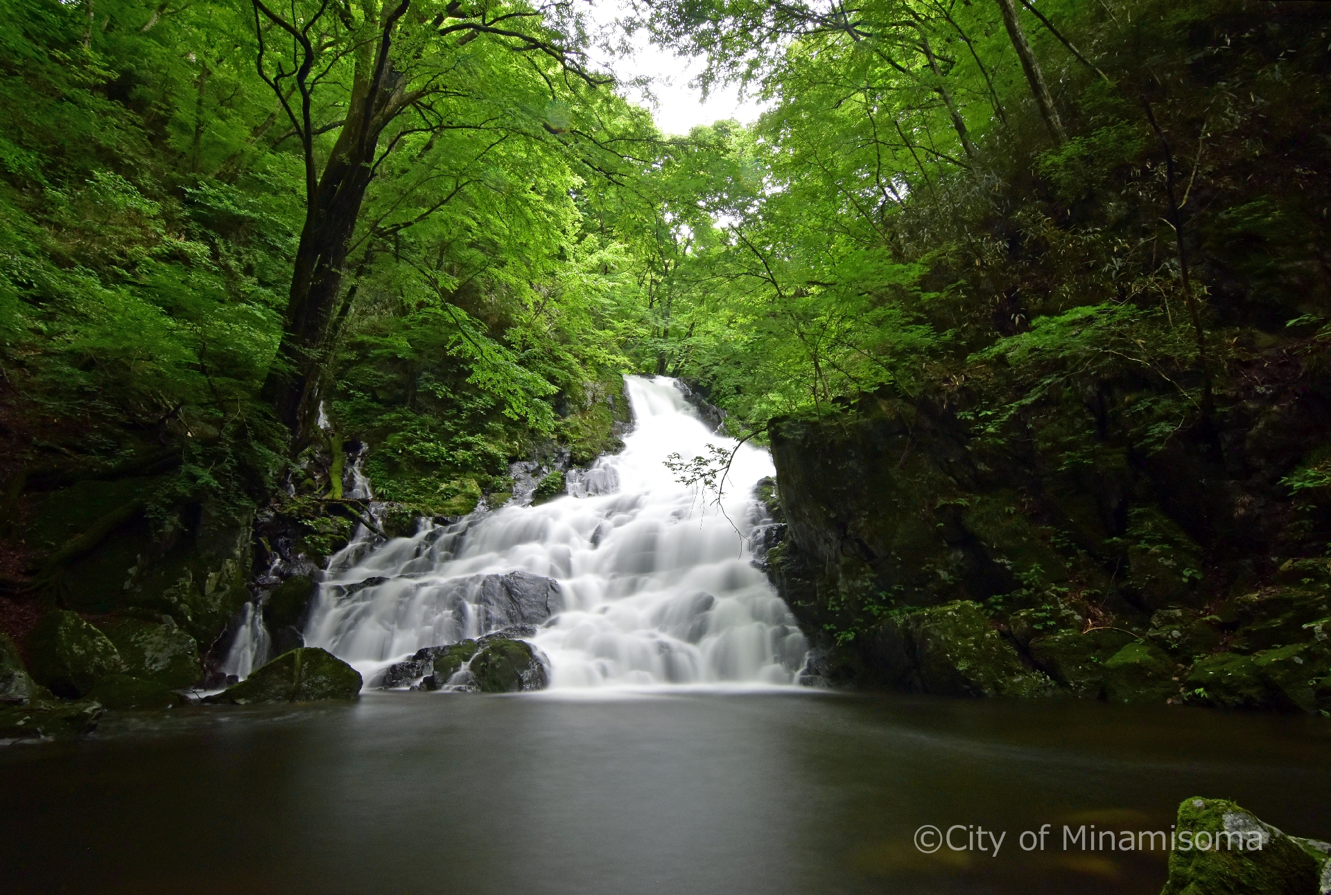木々が茂る山中で、中央に広がる池に階段状の滝が流れ込む風景の写真