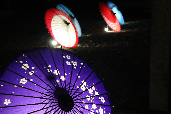 3照らされている傘の写真