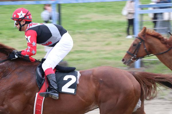 赤い勝負服を着た騎手を乗せた馬が疾走している写真