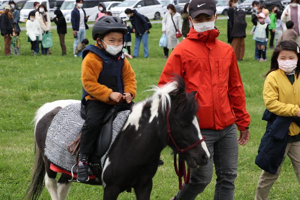ポニーに乗馬する男児と傍らに立つ女児の写真