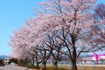 福島県立原町高等学校