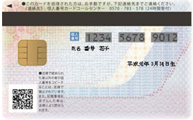 Image of the back of the Individual Number Card