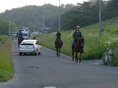 狭い道路を4頭の馬と2台の車が行き違う画像