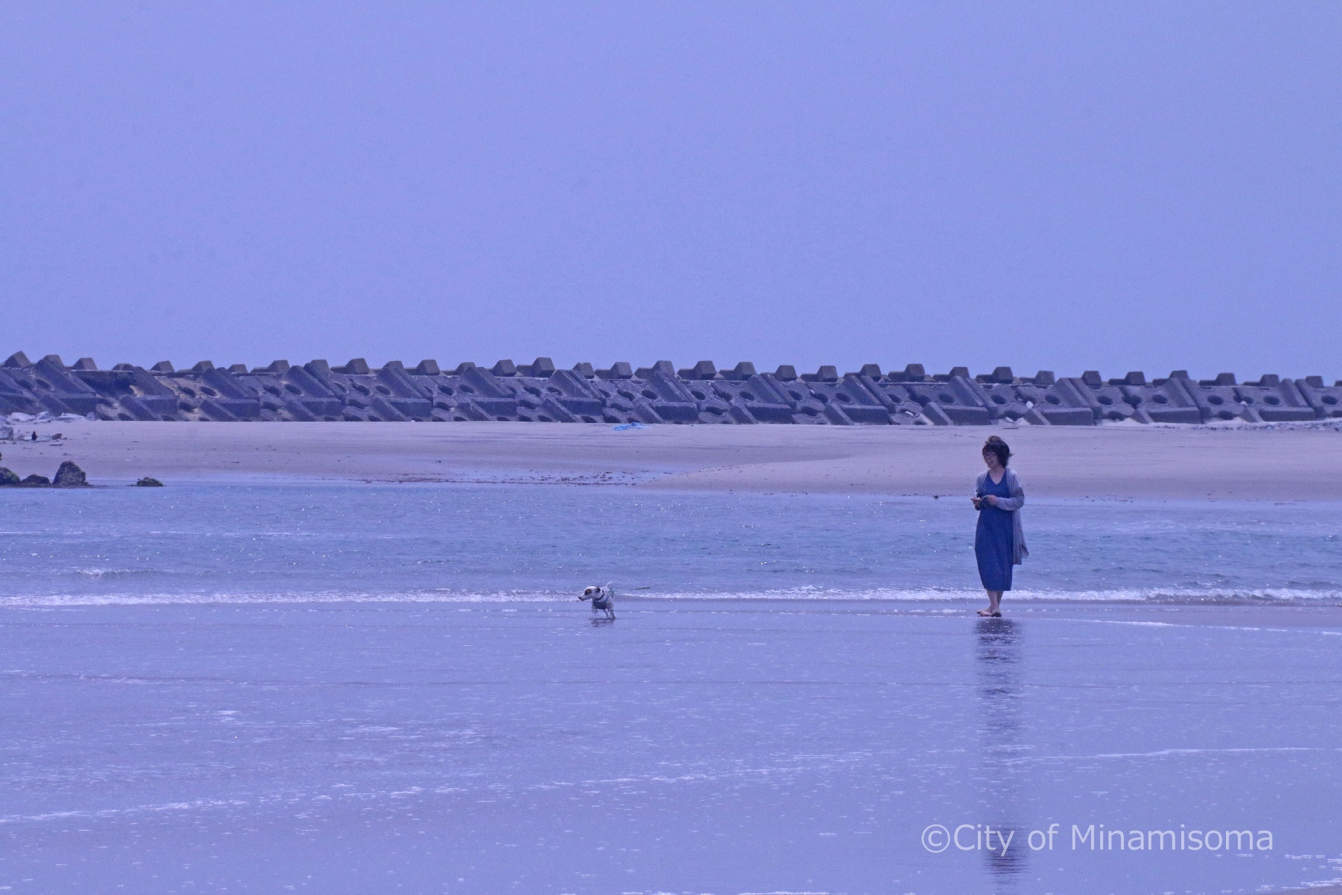 原町区北泉の海岸の様子。波打ち際を、飼い犬とその飼い主の女性が散歩している。