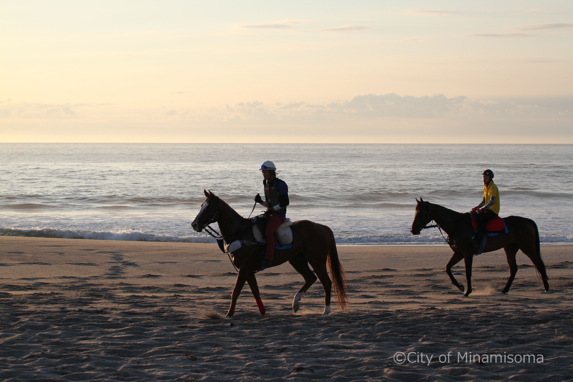 烏崎海岸での早朝錬馬の様子。7月の相馬野馬追に向けての練習で、早朝の砂浜を、人を乗せた馬が歩いている。