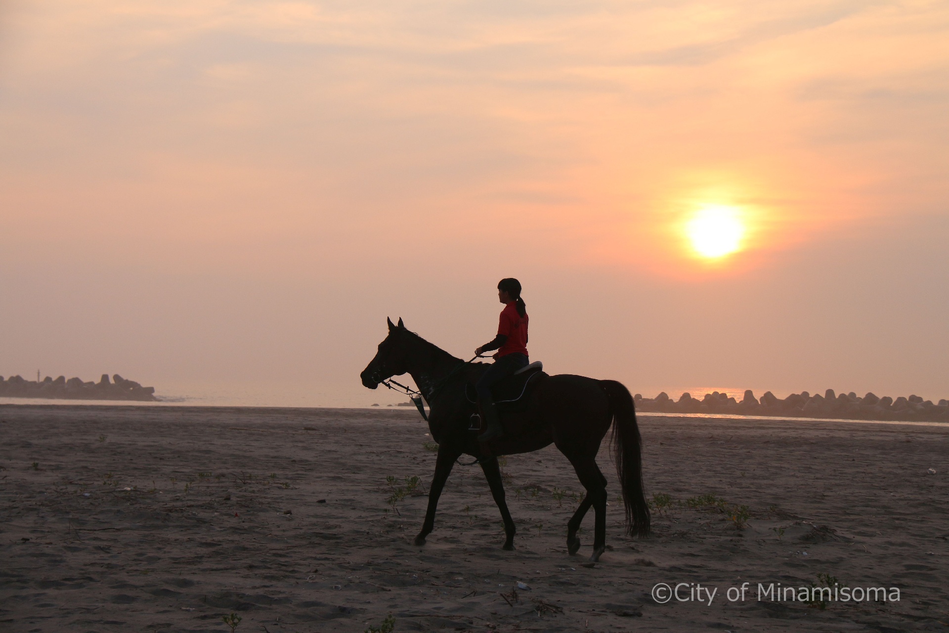 烏崎海岸での早朝錬馬の様子。7月の相馬野馬追に向けての練習で、早朝の砂浜を、人を乗せた馬が歩いている。