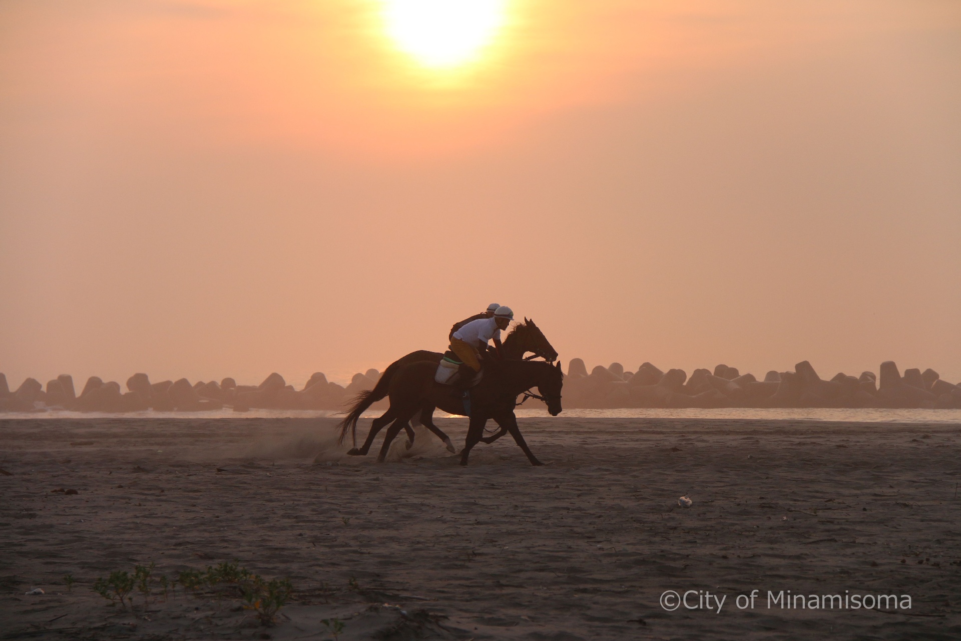 烏崎海岸での早朝錬馬の様子。7月の相馬野馬追に向けての練習で、早朝の砂浜を、人を乗せた馬が2頭走っている。