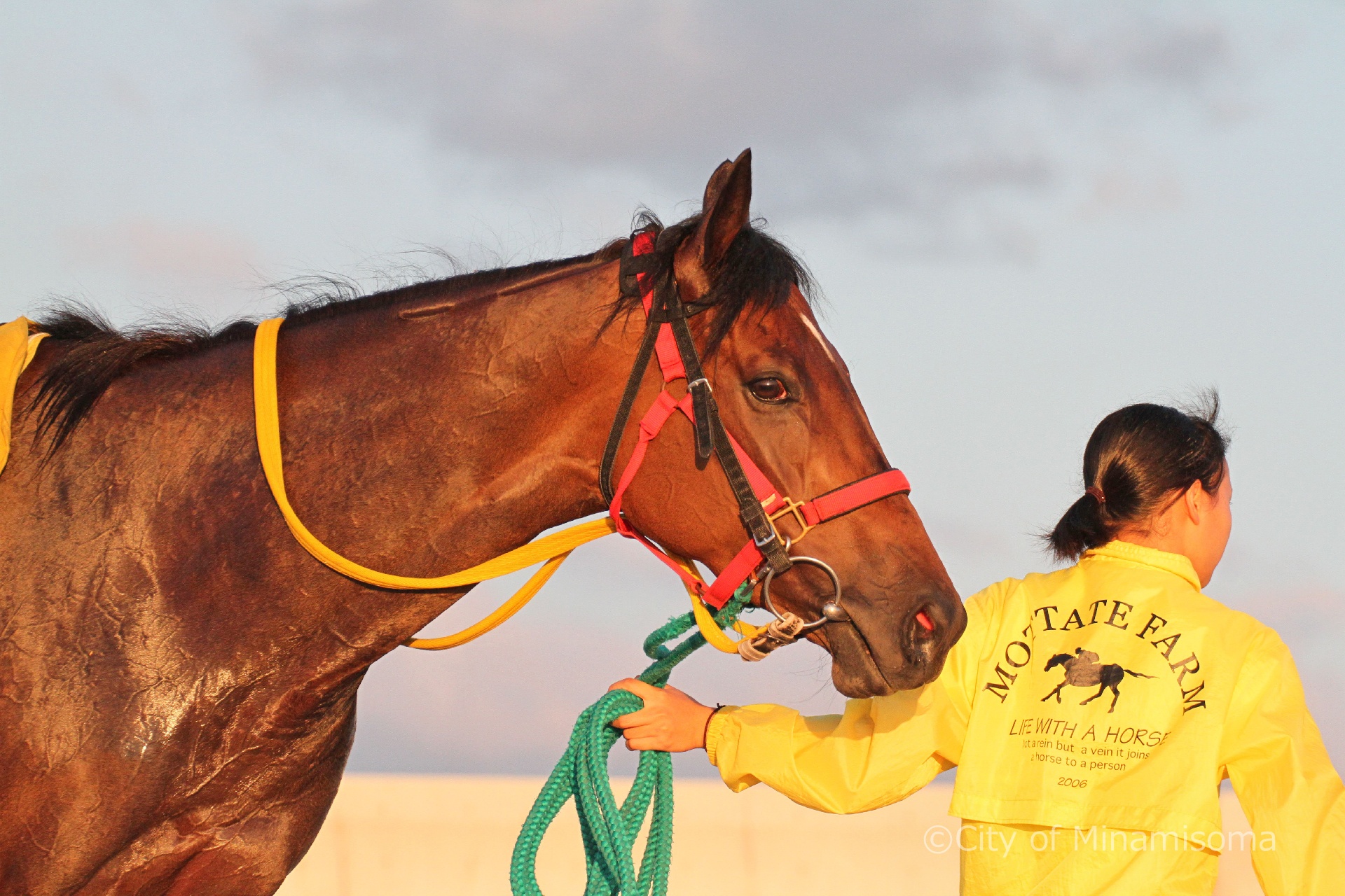 烏崎海岸での早朝錬馬の様子。早朝の練習を終え、帰ろうとする人と馬。馬を引く人は鮮やかな黄色のスタッフジャンパーを着ている。