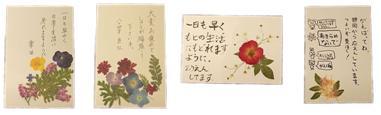 4枚の色紙の押し花とメッセージが書かれている写真