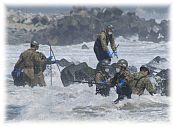 海の中行方不明者捜索をする陸上自衛隊員の写真