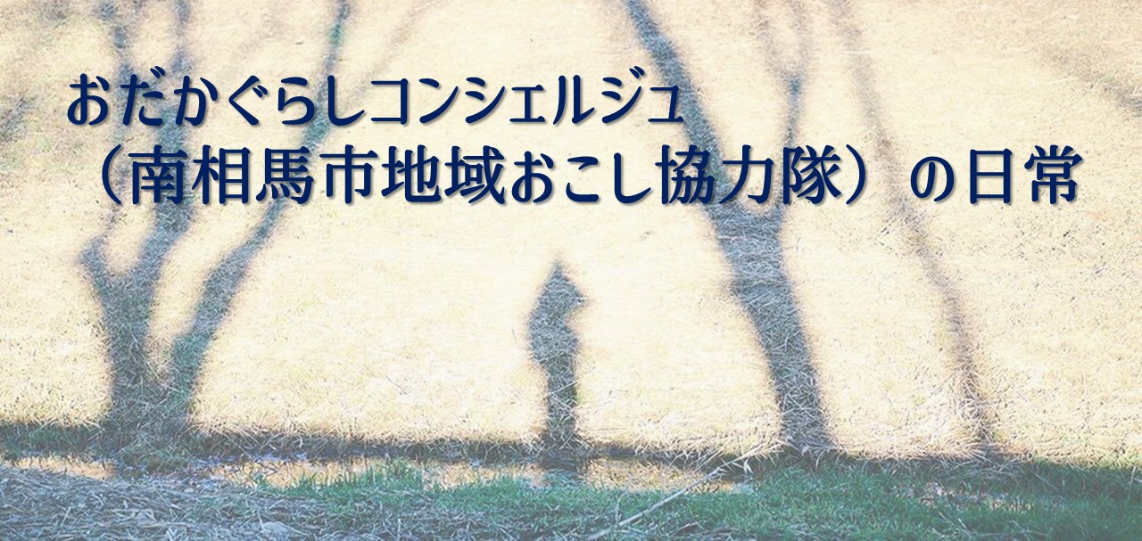 活動ヘッダー