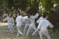 野馬懸（のまかけ）の写真。白装束を身にまとい白い鉢巻をした男たちが馬を追い込み捕らえようとしている様子が写っています。