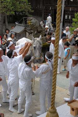 野馬懸（のまかけ）の写真。白装束を身にまとい白い鉢巻をした男たちがとらえた馬を引き連れ、神前に奉納する様子が写っています。