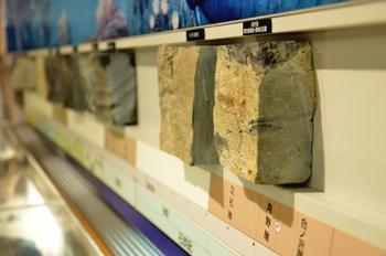 ブロック状の岩石の標本の展示の写真
