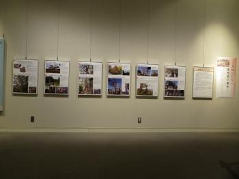 県・市指定の樹木に関連する天然記念物の地図とパネルが壁に並んでかけられている写真
