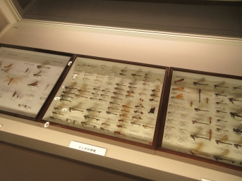 大小種々様々なトンボの標本が並ぶ箱2つと他の標本が入った箱1つが並ぶ展示ケースの写真