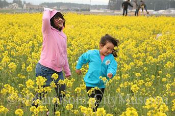 菜の花畑の中を走る二人の女の子