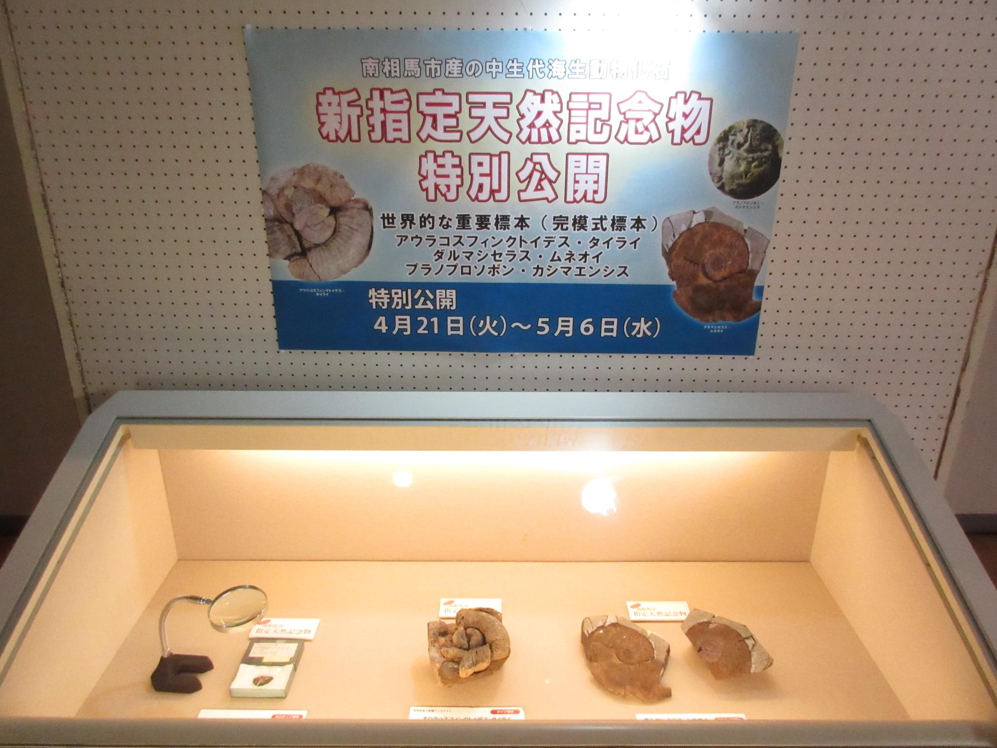 新天然記念物特別公開