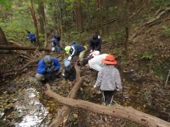 化石を探す参加者たち
