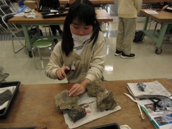前日に採集した石をハンマーでたたき割り、クリーニングする参加者の女の子