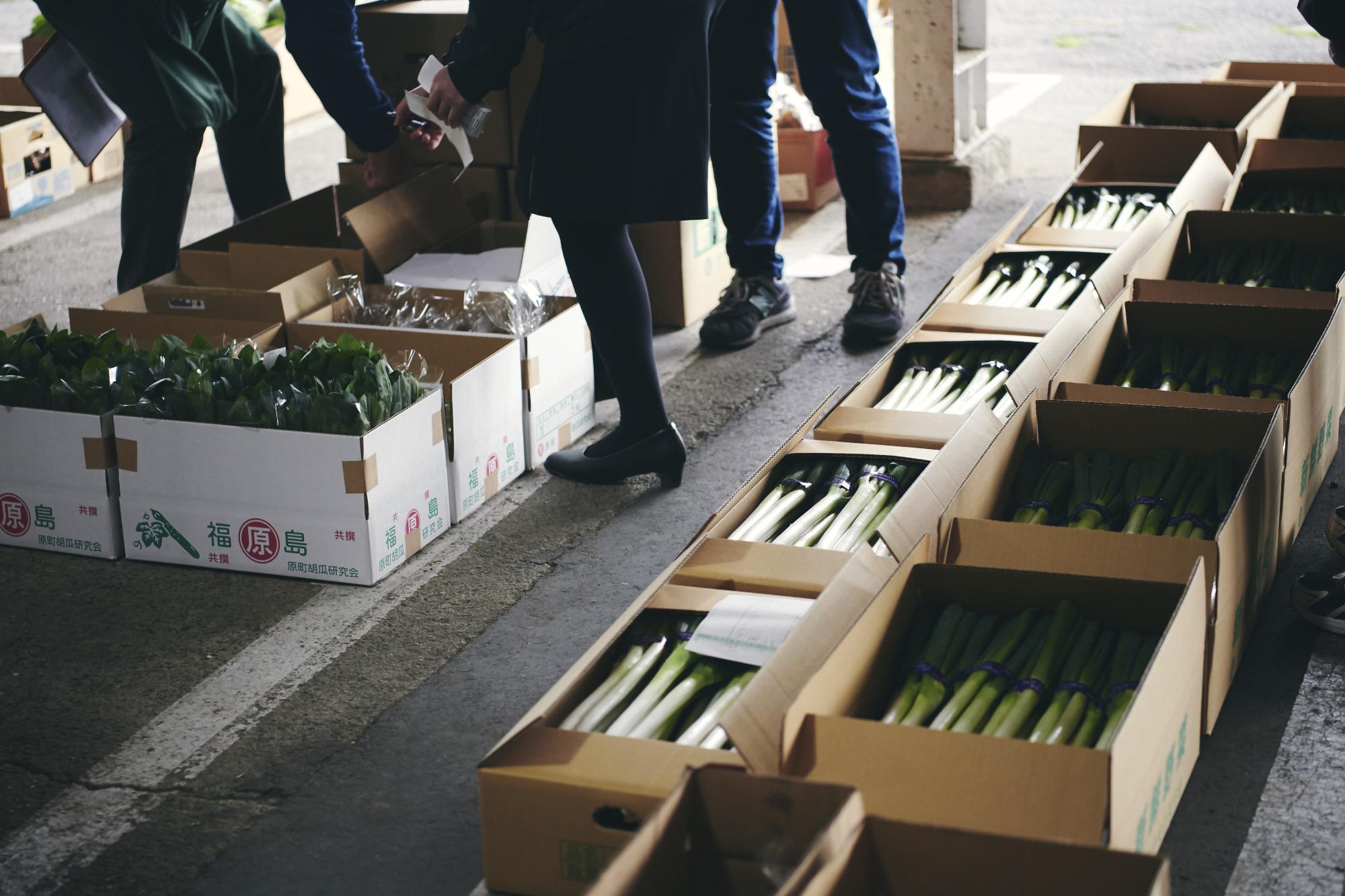 市場に並ぶ採れたての地物野菜たち