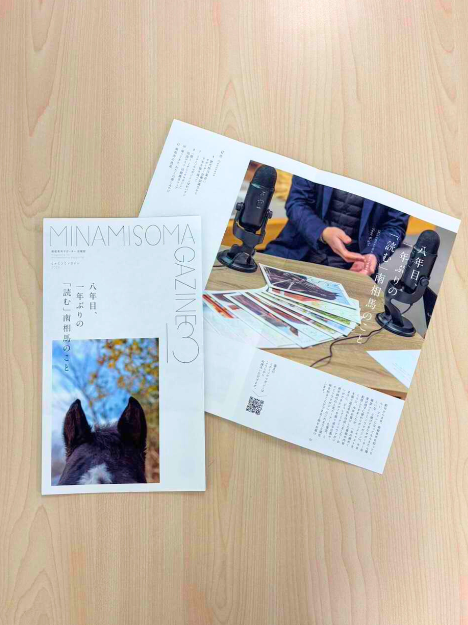 ミナミソウマガジン13号表紙